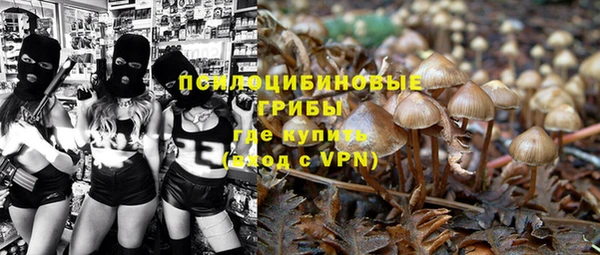первитин Арсеньев