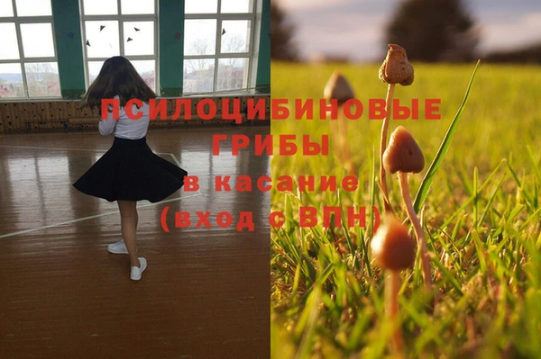 прущие крисы Аркадак